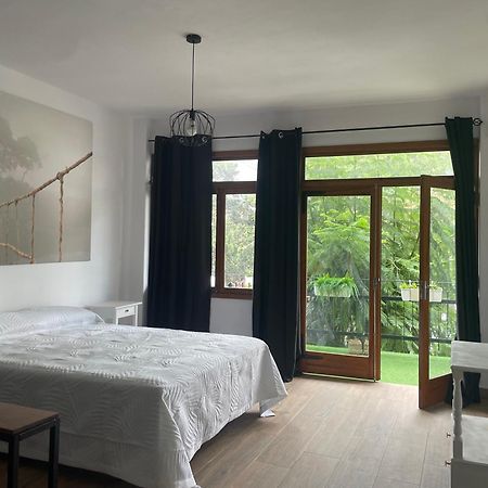 Apartamento Olivares Los Llanos De Aridane Kültér fotó